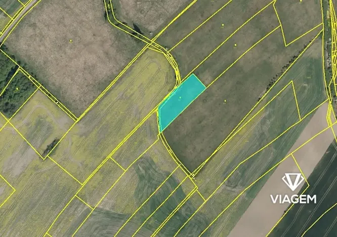 Prodej podílu pole, Dašice, 2447 m2