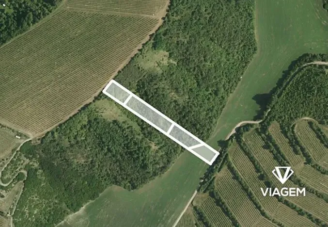 Prodej podílu pole, Nosislav, 890 m2