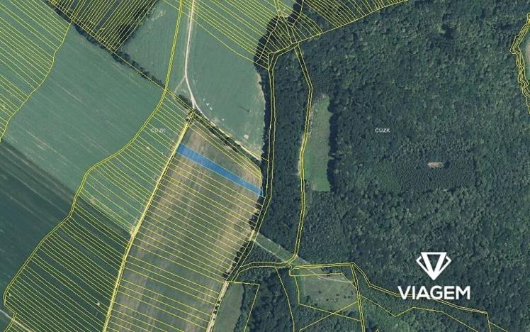 Prodej pole, Mistřice, 3700 m2