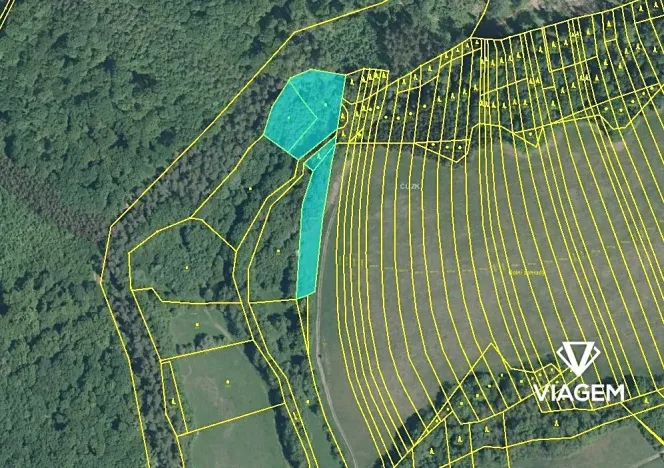 Prodej podílu pole, Velký Ořechov, 699 m2