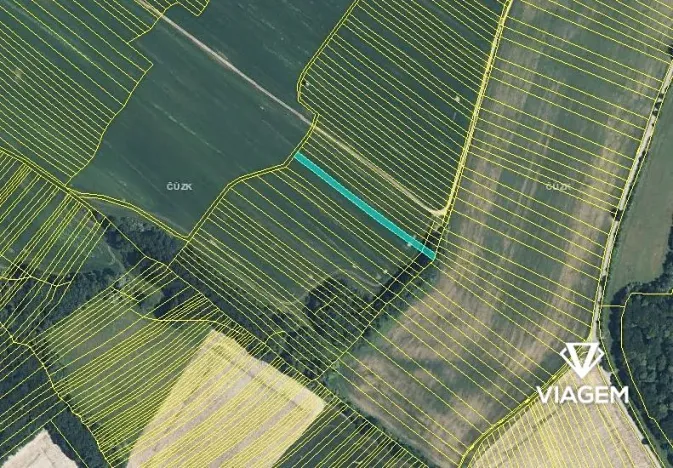 Prodej podílu pole, Mistřice, 446 m2