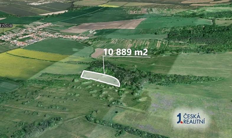 Prodej podílu pole, Kněždub, 6049 m2