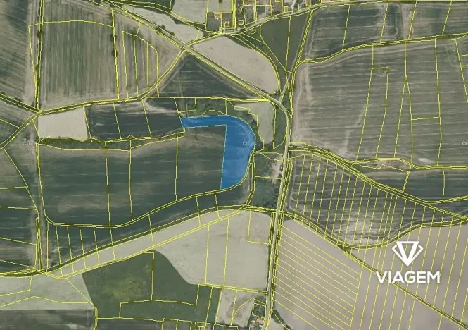 Prodej podílu pole, Lážovice, 2863 m2