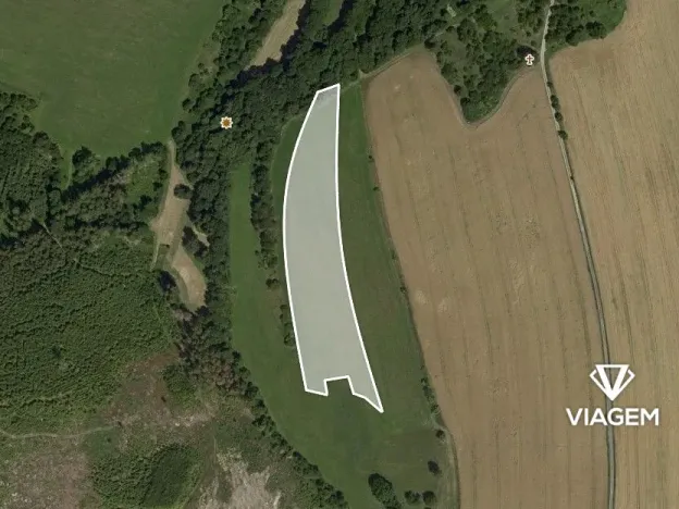 Prodej podílu pole, Žďárná, 4216 m2