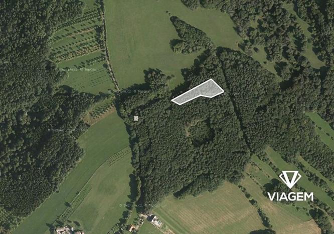 Prodej podílu lesa, Luhačovice, 2090 m2