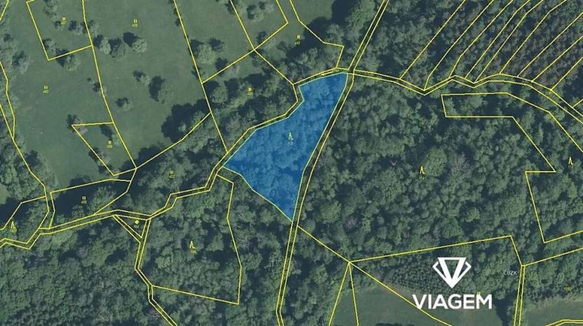 Prodej podílu lesa, Luhačovice, 2043 m2