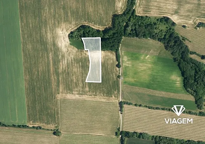 Prodej podílu pole, Ořechov, 2452 m2