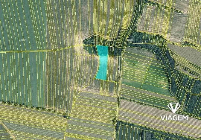 Prodej podílu pole, Ořechov, 2452 m2