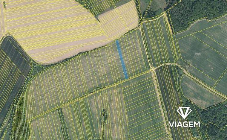 Prodej podílu pole, Březolupy, 810 m2