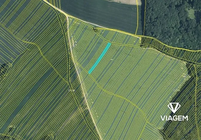 Prodej podílu pole, Mistřice, 834 m2