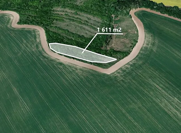 Prodej pole, Ždánice, 1611 m2