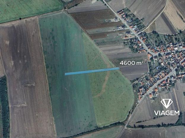 Prodej pole, Kněždub, 4600 m2