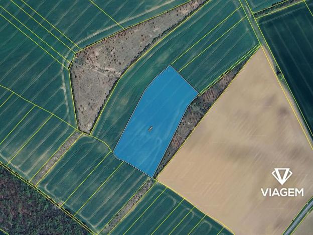 Prodej podílu pole, Zlobice, 481 m2