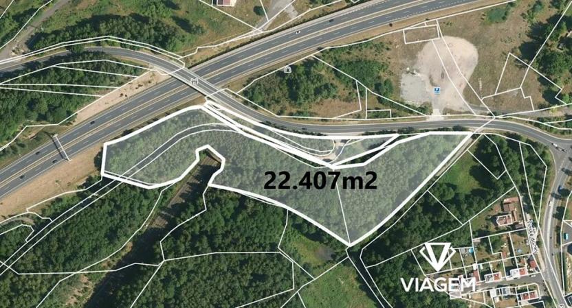 Prodej lesa, Nové Sedlo, 22350 m2