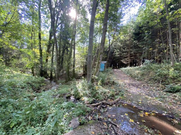 Prodej lesa, Lánov - Horní Lánov, 12297 m2