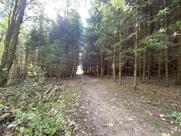 Prodej lesa, Lánov - Horní Lánov, 12297 m2