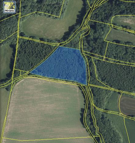 Prodej lesa, Lánov - Horní Lánov, 12297 m2