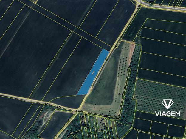 Prodej podílu pole, Starovice, 531 m2