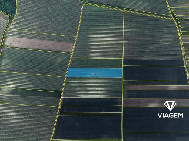 Prodej podílu pole, Přítluky, 229 m2