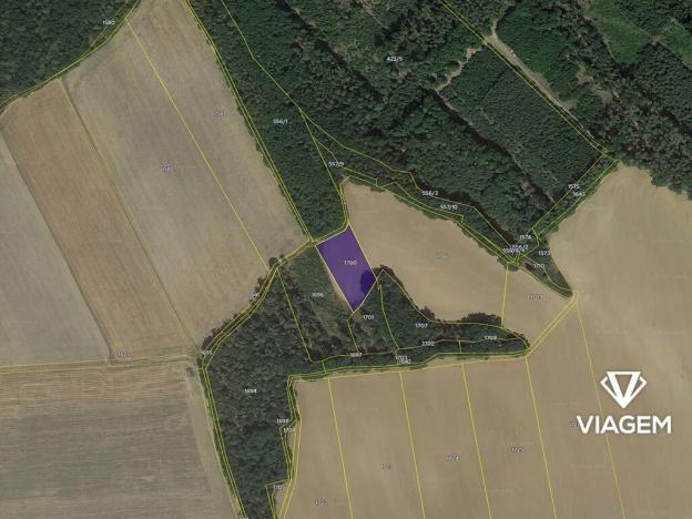 Prodej podílu pole, Horšovský Týn, 304 m2