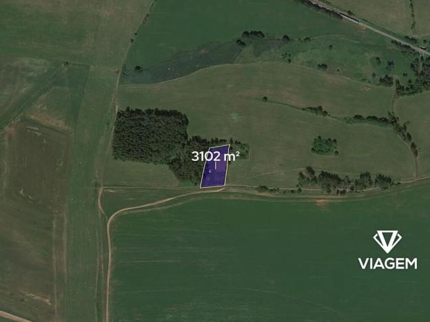 Prodej podílu pole, Borovnice, 310 m2