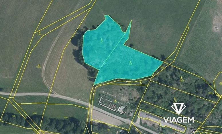 Prodej podílu lesa, Oborná, 1319 m2