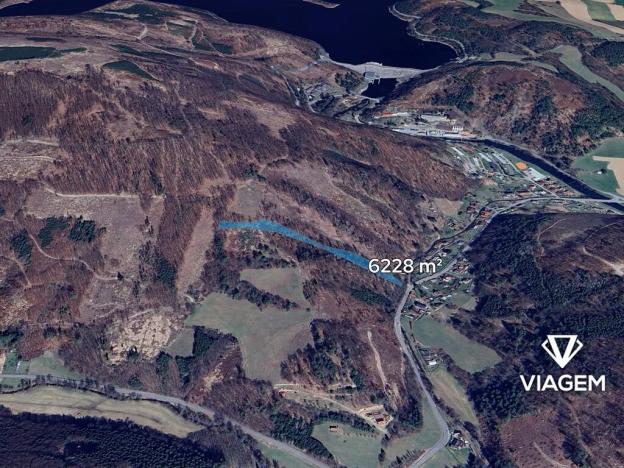 Prodej lesa, Vír, 6228 m2