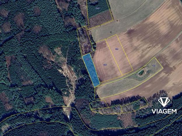 Prodej lesa, Konojedy, 3288 m2