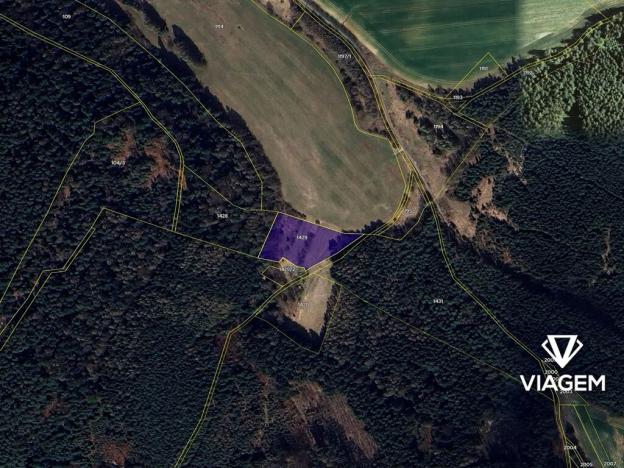 Prodej lesa, Březina, 4091 m2