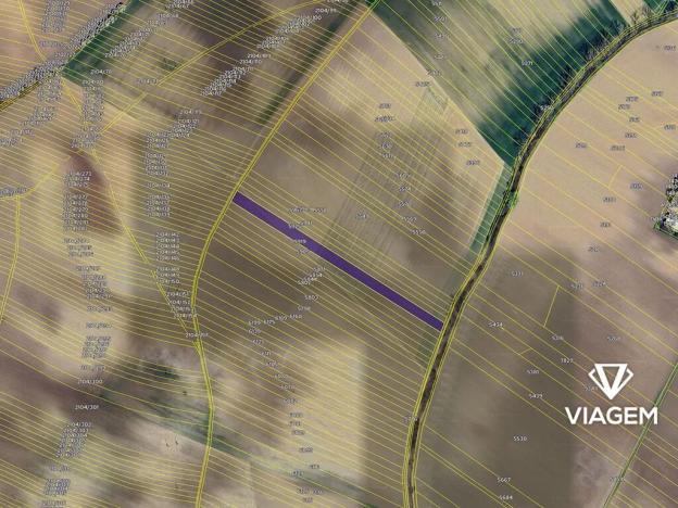 Prodej podílu pole, Lovčice, 1385 m2