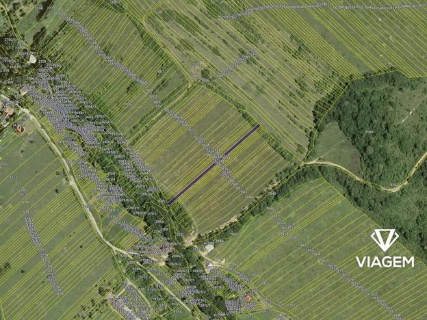 Prodej podílu pole, Javorník, 750 m2