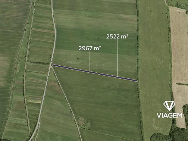 Prodej podílu pole, Javorník, 2058 m2