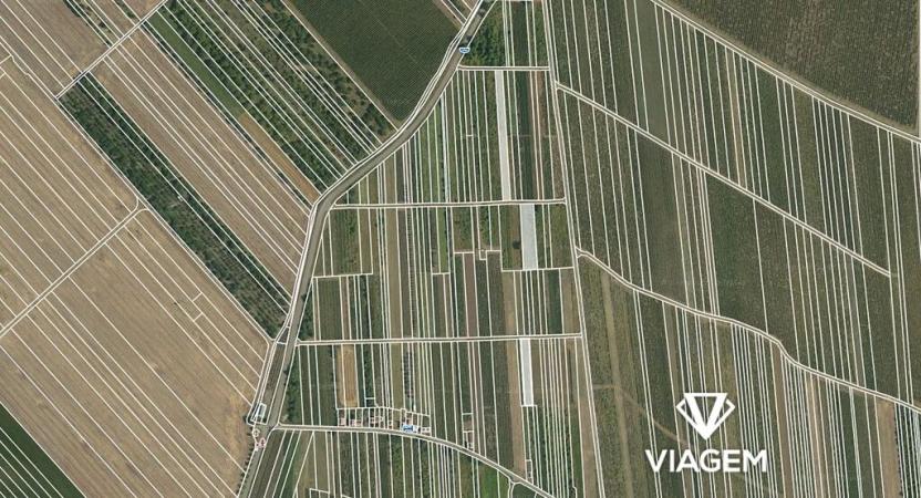 Prodej podílu pole, Moravský Žižkov, 1427 m2