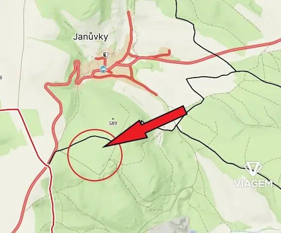 Prodej lesa, Březina, 18560 m2