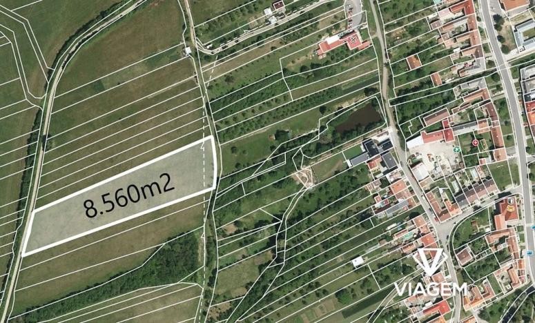 Prodej pole, Slavkov, 8560 m2