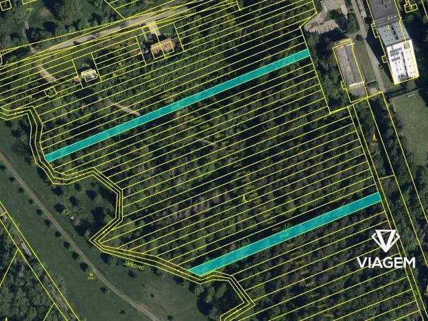 Prodej podílu lesa, Kněždub, 616 m2