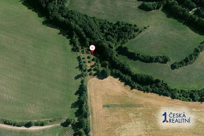 Prodej podílu zahrady, Dolní Loučky, 1320 m2