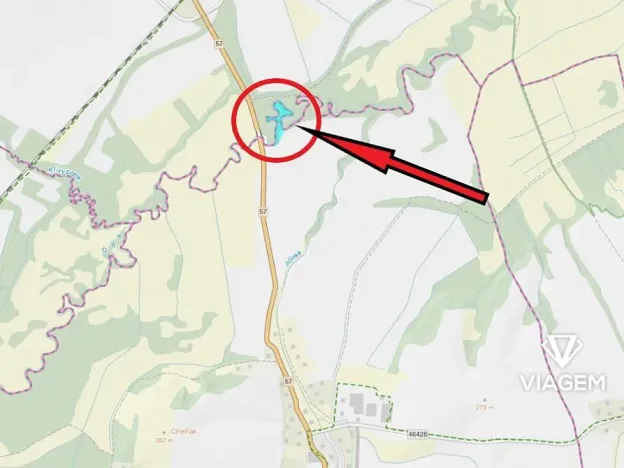 Prodej lesa, Kunín, 12261 m2