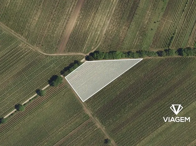 Prodej podílu pole, Velké Bílovice, 922 m2