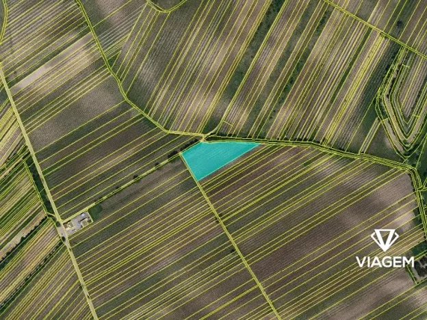 Prodej podílu pole, Velké Bílovice, 922 m2