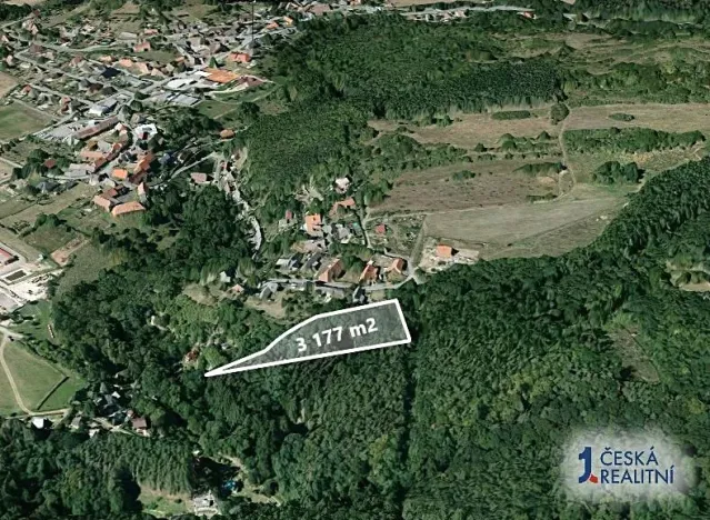 Prodej lesa, Sýkořice, 3177 m2