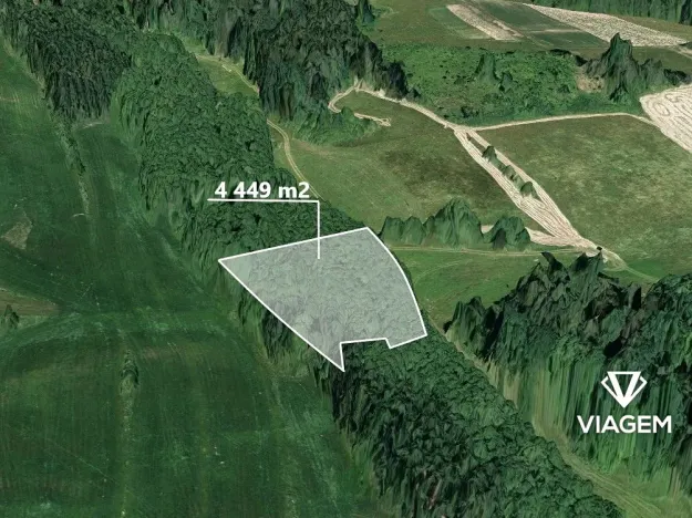 Prodej lesa, Košťálov, 4449 m2