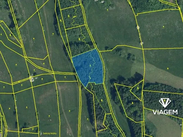 Prodej lesa, Košťálov, 4449 m2