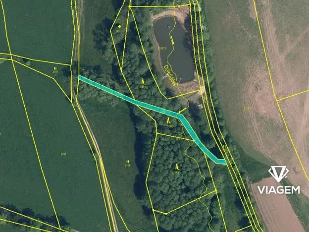 Prodej lesa, Košťálov, 5619 m2