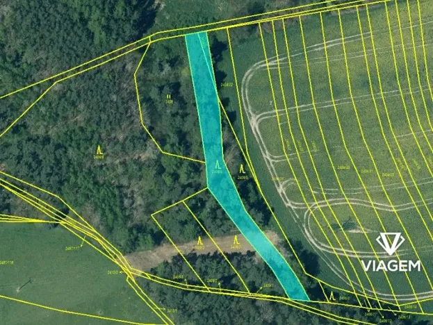 Prodej lesa, Třemošná, 1543 m2