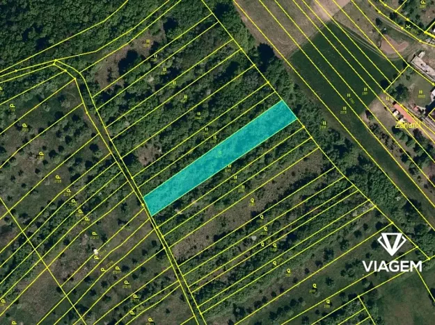 Prodej podílu pole, Pašovice, 748 m2