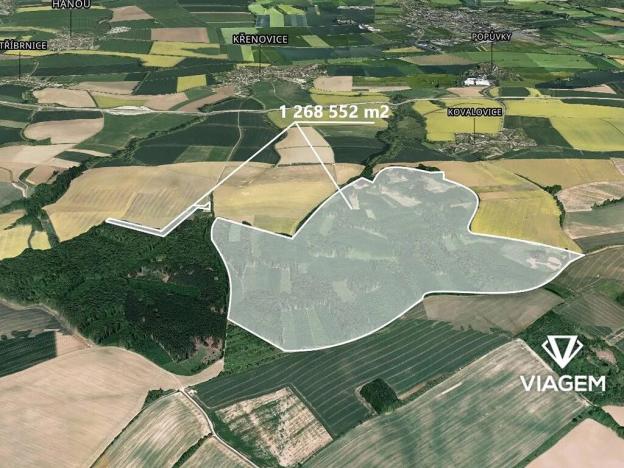 Prodej podílu lesa, Křenovice, 16746 m2