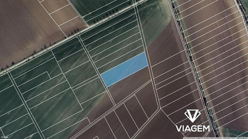 Prodej podílu pole, Třibřichy, 381 m2