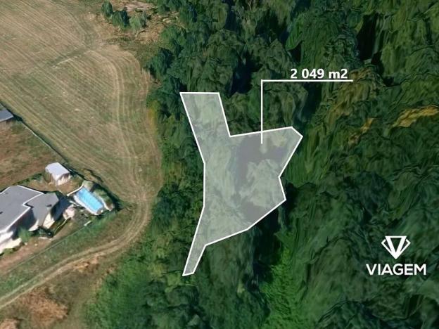 Prodej lesa, Velká Polom, 1258 m2