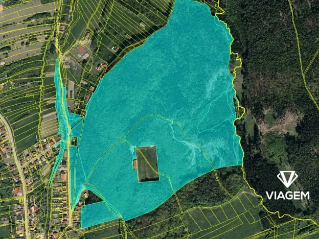 Prodej podílu lesa, Šanov, 2700 m2